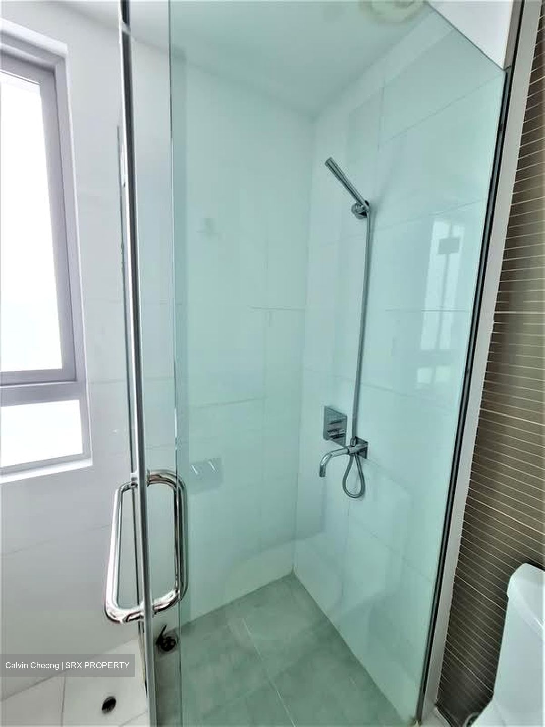 The Cathay Residence (D9), Apartment #581234551